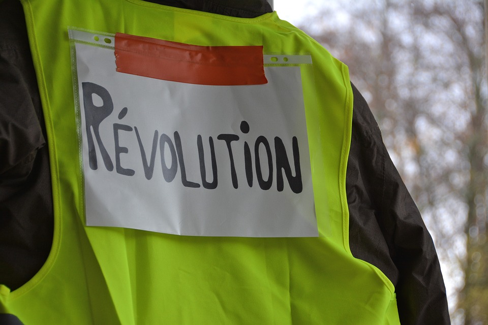Back of a yellowfins vest with the word Revolution on it. 