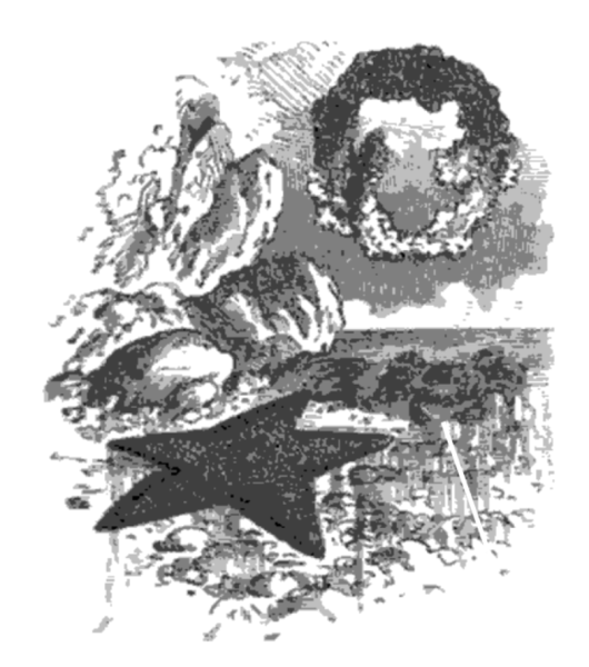 Screen Shot 2019-04-19 at 11.17.54 AM