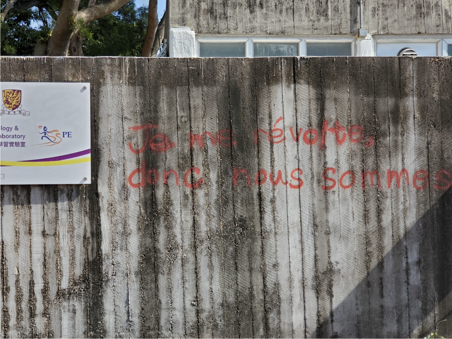Graffiti on a wooden fence written in French.