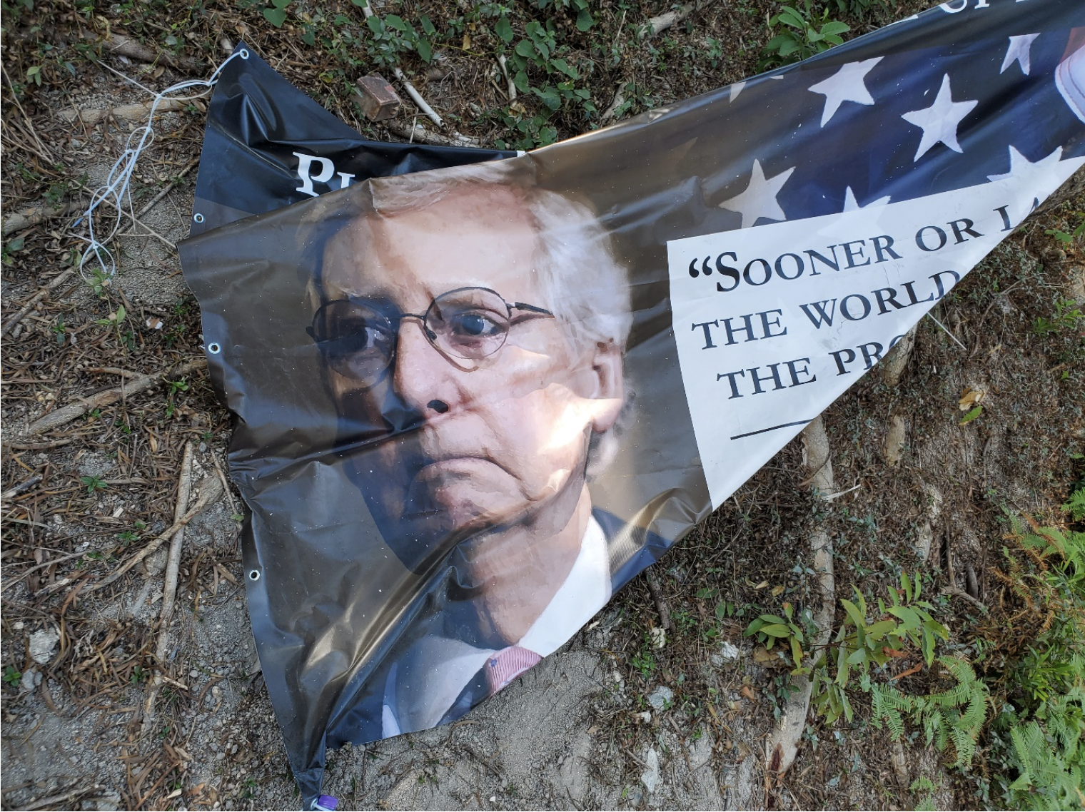 Part of a banner that shows a picture of Mitch McConnell and part of a quote from the Wall Street Journal.