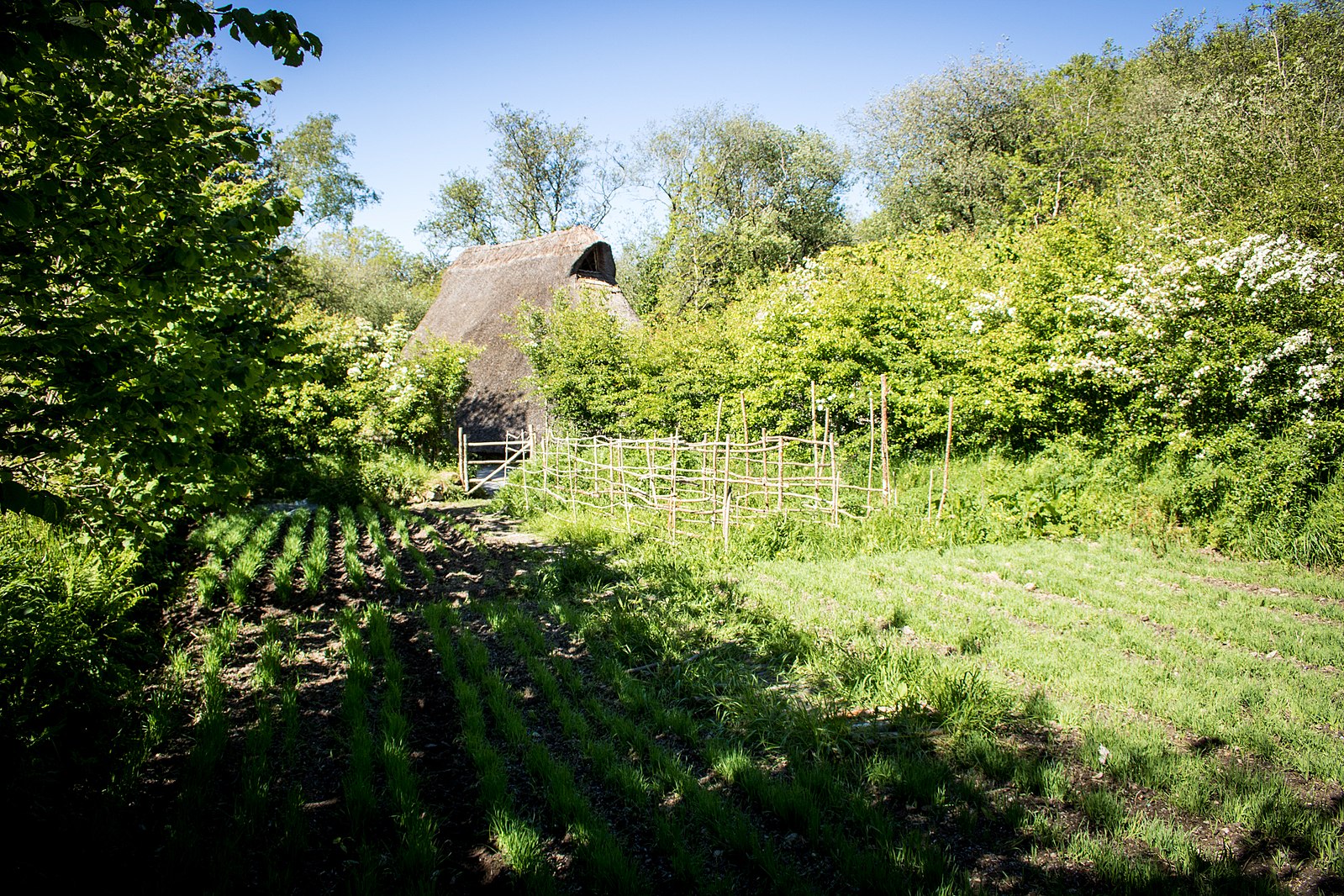A neolithic farmstead and house reconstructed in the Irish national Heritage Park.