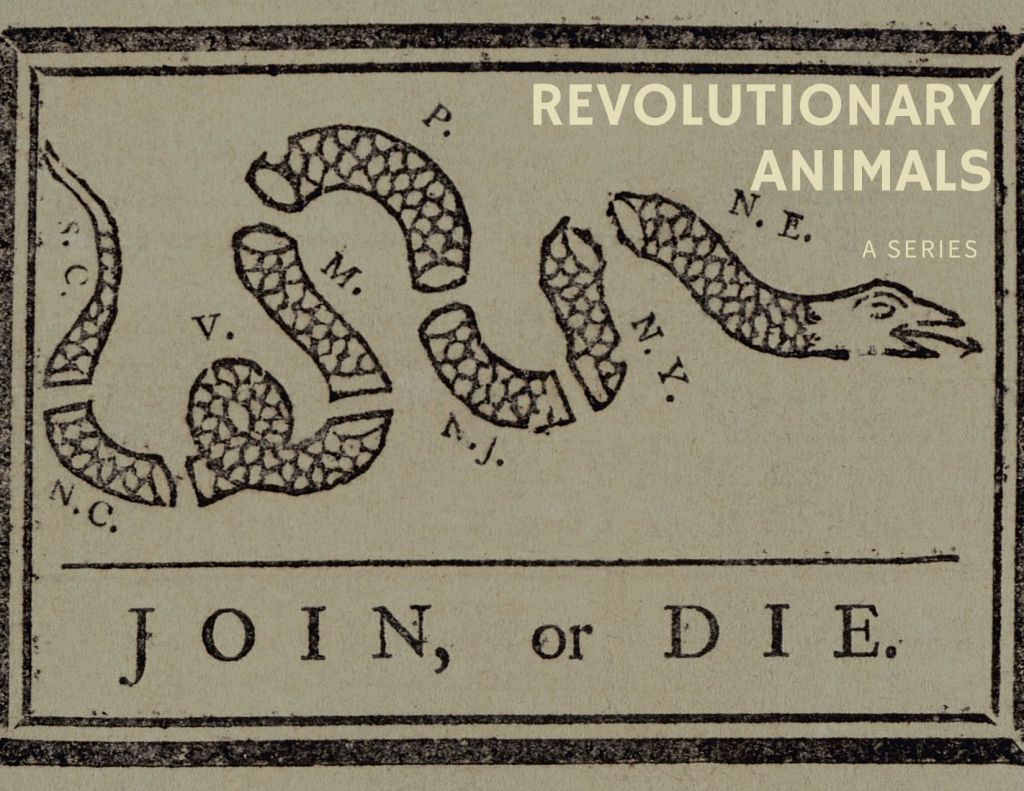 Poster for upcoming series "Revolutionary Animals."